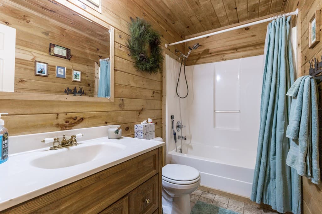 541 Black Ankle Creek Road, Cherry Log GA 30522 - Photo