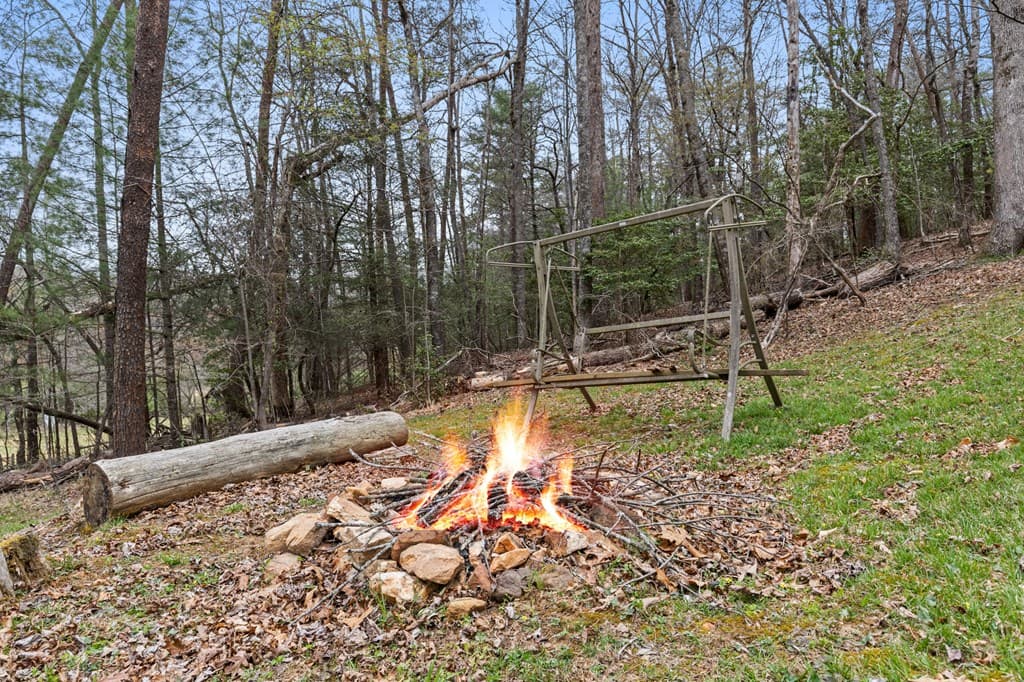 541 Black Ankle Creek Road, Cherry Log GA 30522 - Photo