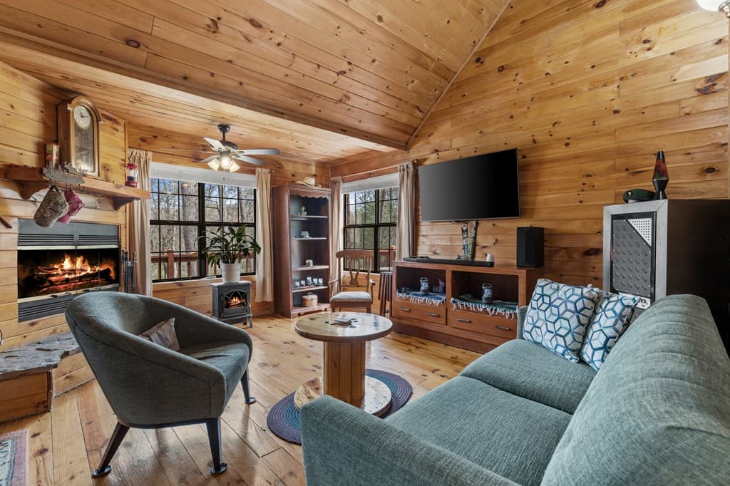 541 Black Ankle Creek Road, Cherry Log GA 30522 - Photo