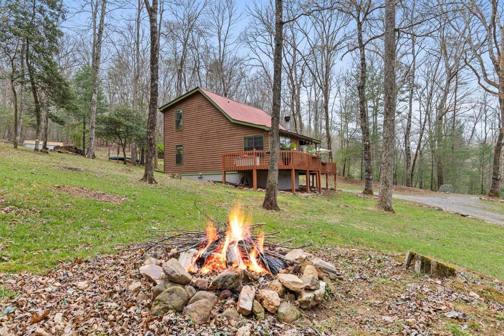 541 Black Ankle Creek Road, Cherry Log GA 30522 - Photo