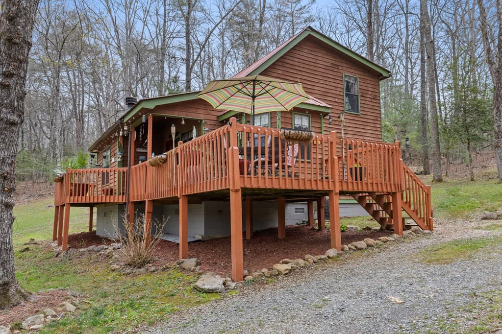 541 Black Ankle Creek Road, Cherry Log GA 30522 - Photo