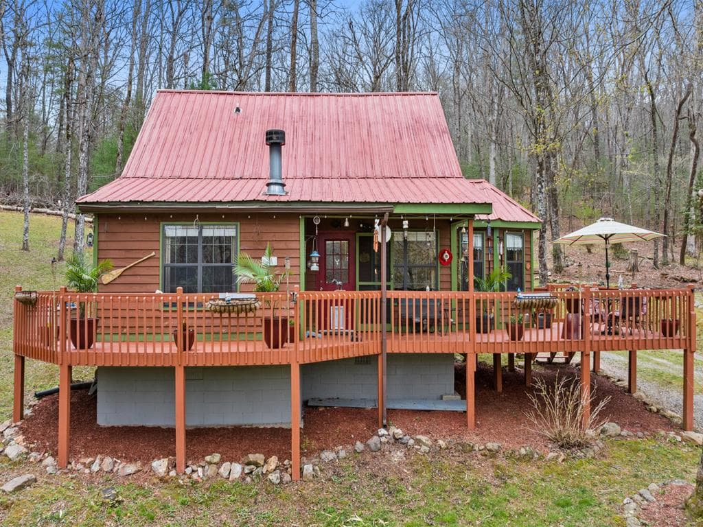 541 Black Ankle Creek Road, Cherry Log GA 30522 - Primary photo