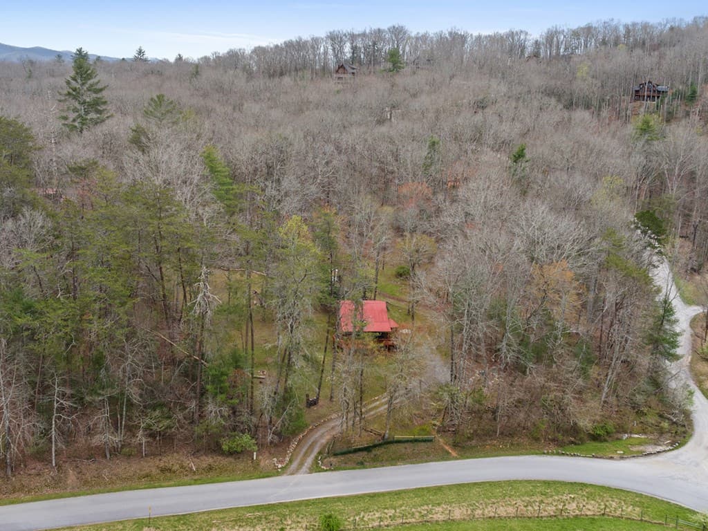 541 Black Ankle Creek Road, Cherry Log GA 30522 - Photo