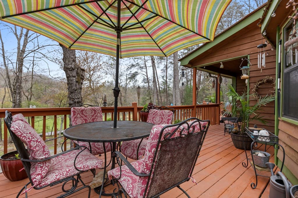 541 Black Ankle Creek Road, Cherry Log GA 30522 - Photo