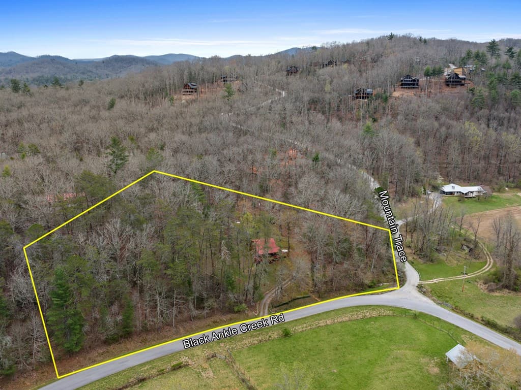 541 Black Ankle Creek Road, Cherry Log GA 30522 - Photo