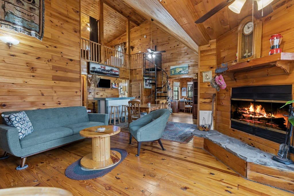 541 Black Ankle Creek Road, Cherry Log GA 30522 - Photo