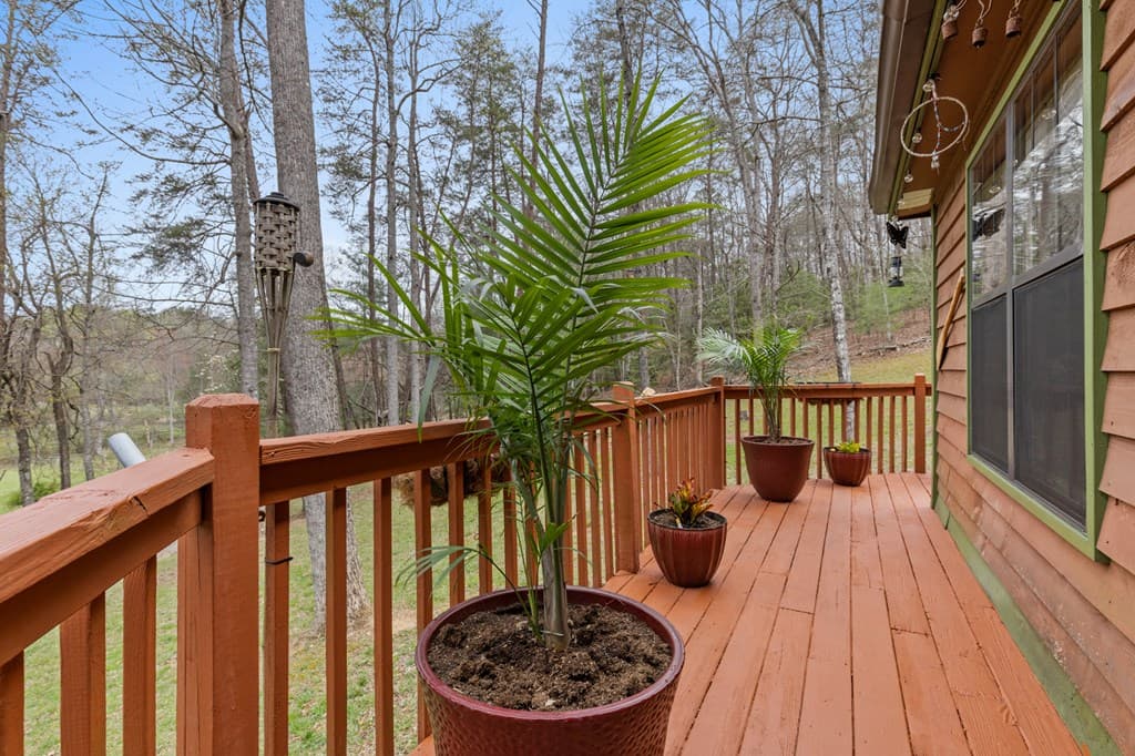 541 Black Ankle Creek Road, Cherry Log GA 30522 - Photo