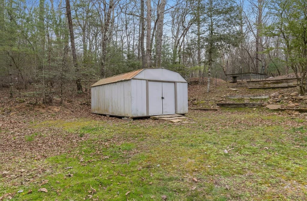 541 Black Ankle Creek Road, Cherry Log GA 30522 - Photo