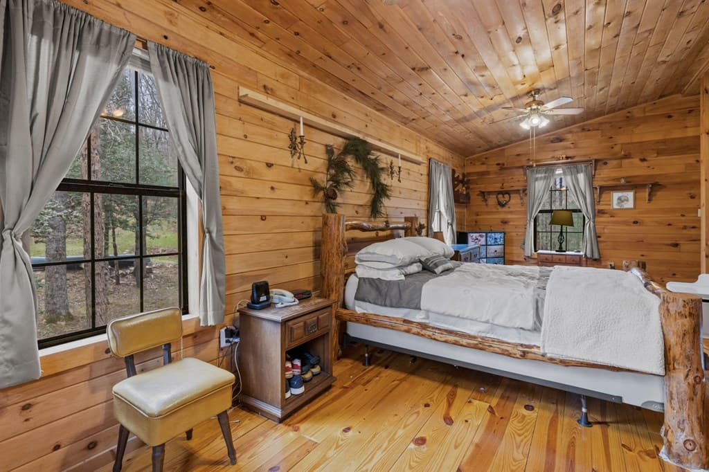 541 Black Ankle Creek Road, Cherry Log GA 30522 - Photo
