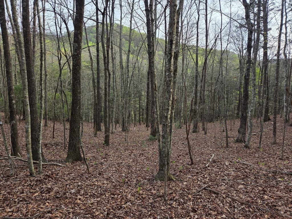 Lot 53 Calvender Road, Turtletown TN 37326 - Photo