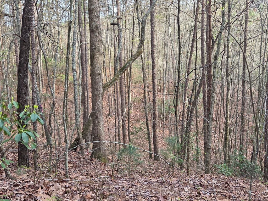 Lot 53 Calvender Road, Turtletown TN 37326 - Photo