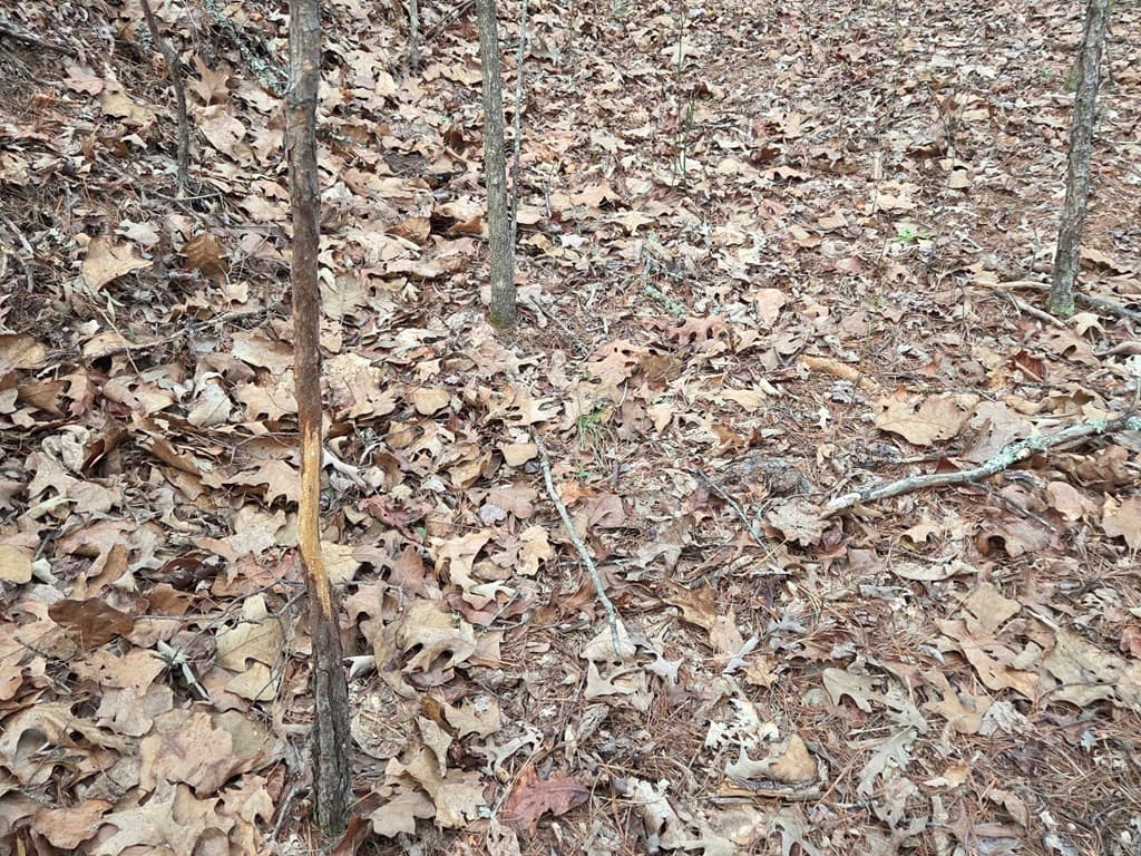 Lot 53 Calvender Road, Turtletown TN 37326 - Photo