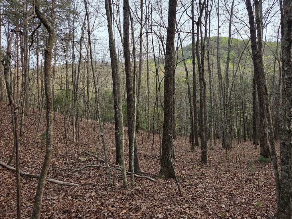Lot 53 Calvender Road, Turtletown TN 37326 - Photo