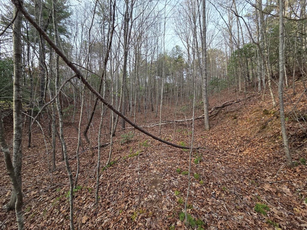 Lot 53 Calvender Road, Turtletown TN 37326 - Photo