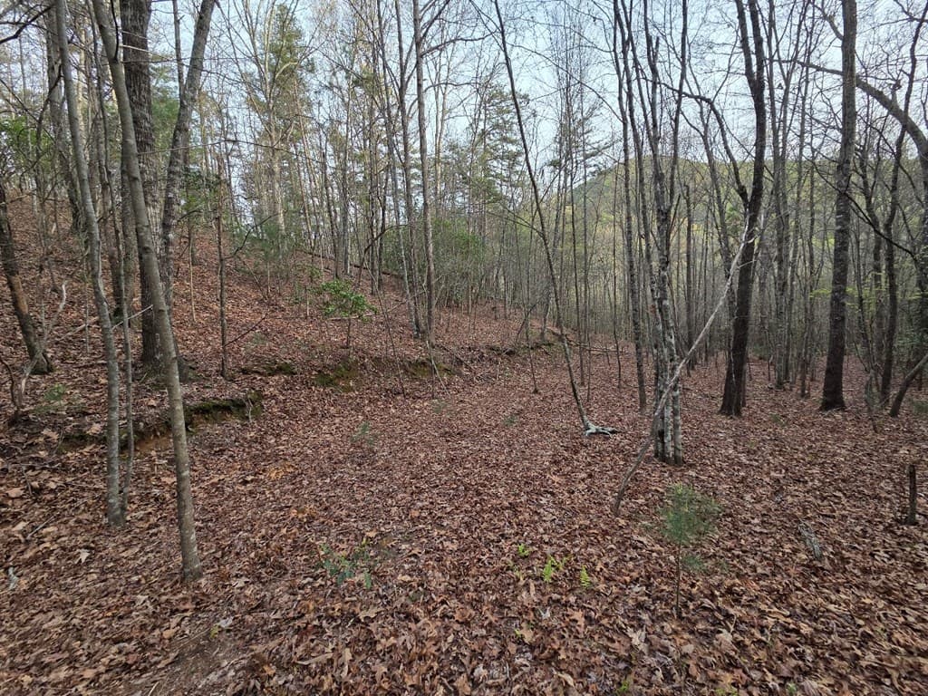Lot 53 Calvender Road, Turtletown TN 37326 - Photo