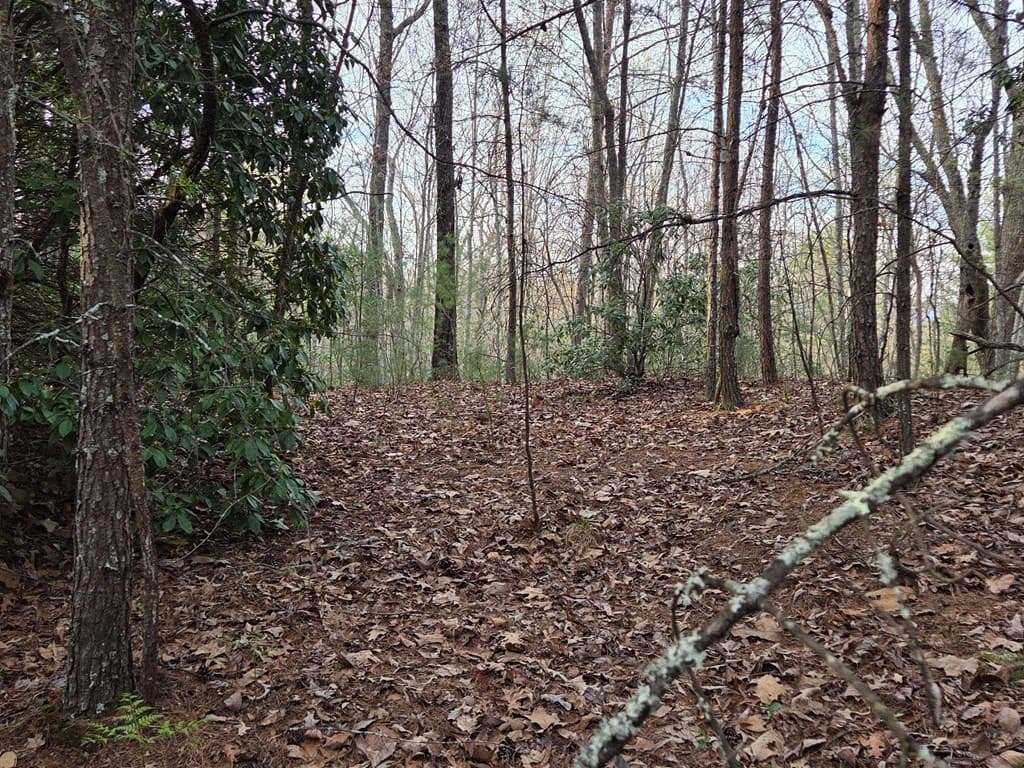 Lot 53 Calvender Road, Turtletown TN 37326 - Photo