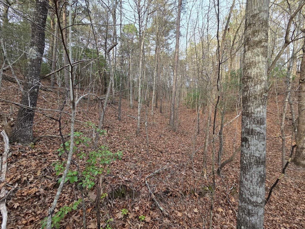 Lot 53 Calvender Road, Turtletown TN 37326 - Photo