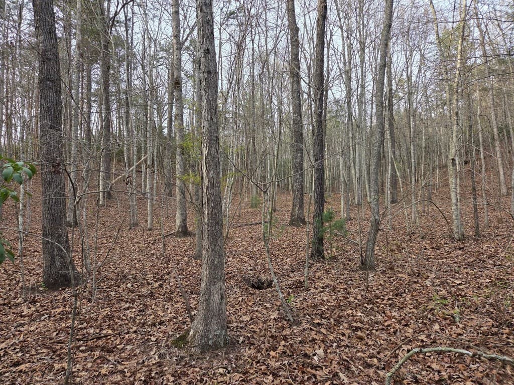 Lot 53 Calvender Road, Turtletown TN 37326 - Photo
