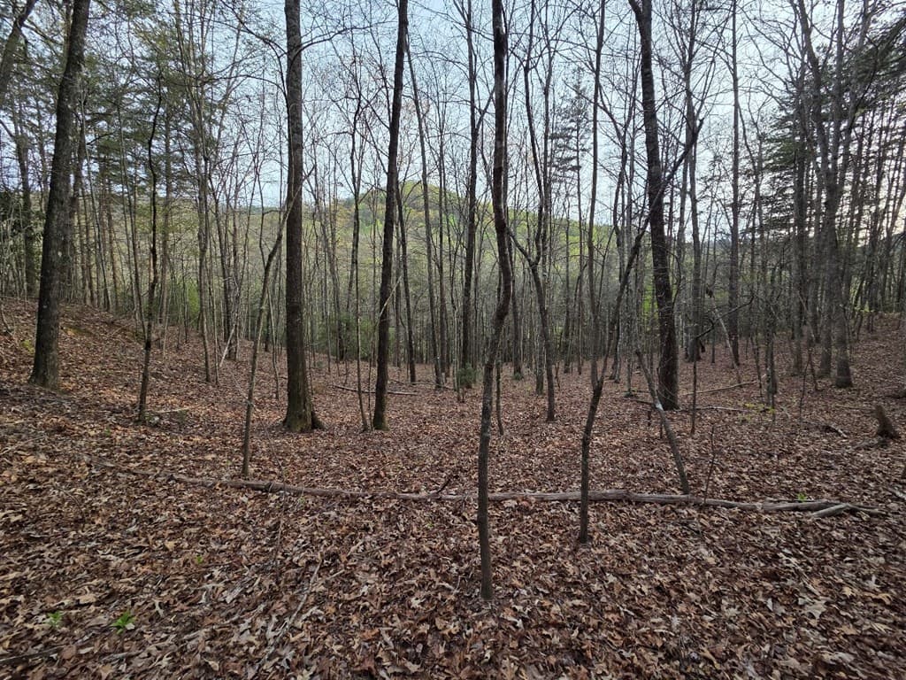 Lot 53 Calvender Road, Turtletown TN 37326 - Photo