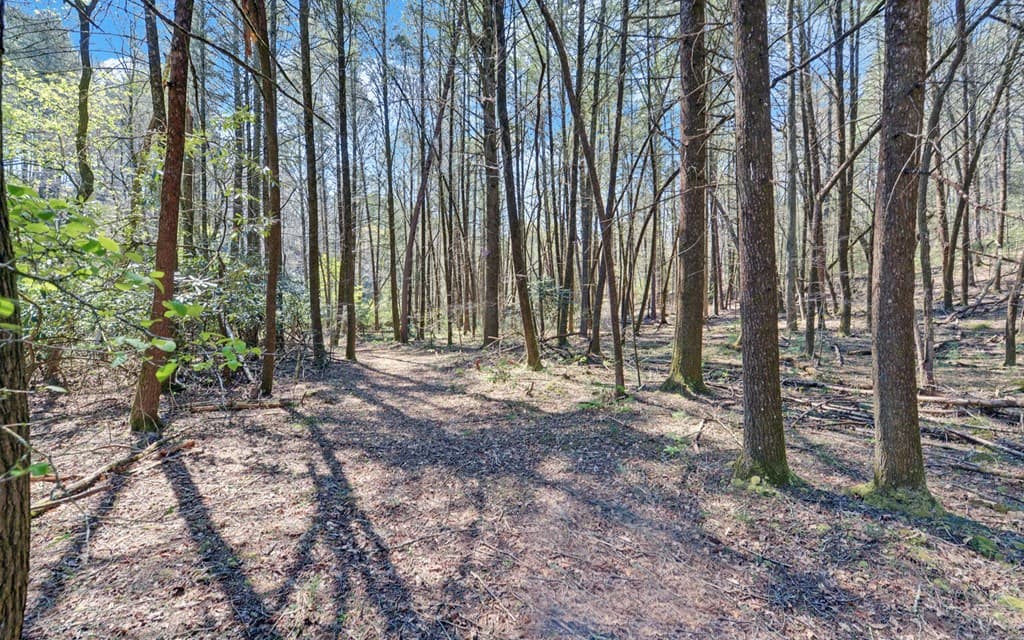 380 Bear Foot Drive, Blue Ridge GA 30513 - Photo