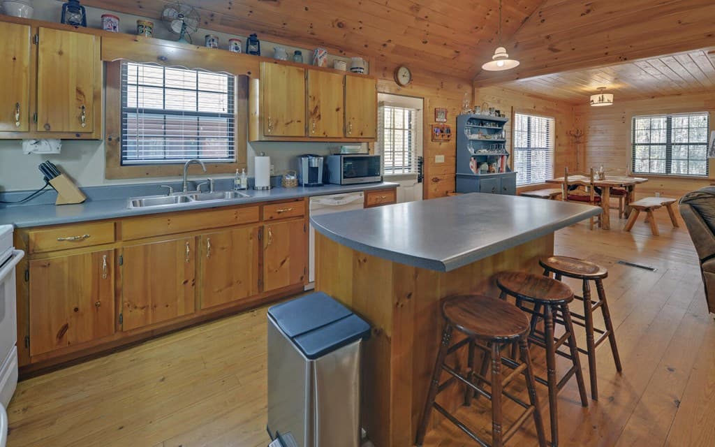 380 Bear Foot Drive, Blue Ridge GA 30513 - Photo