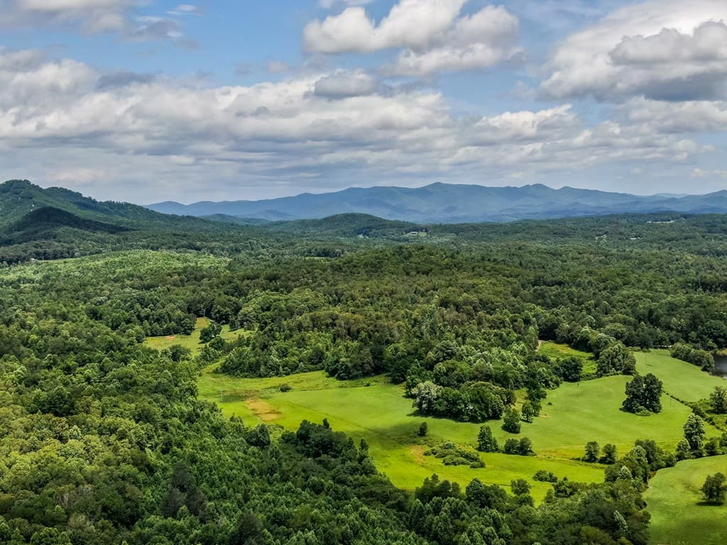 136A Pack Creek, Blue Ridge GA 30513 - Photo