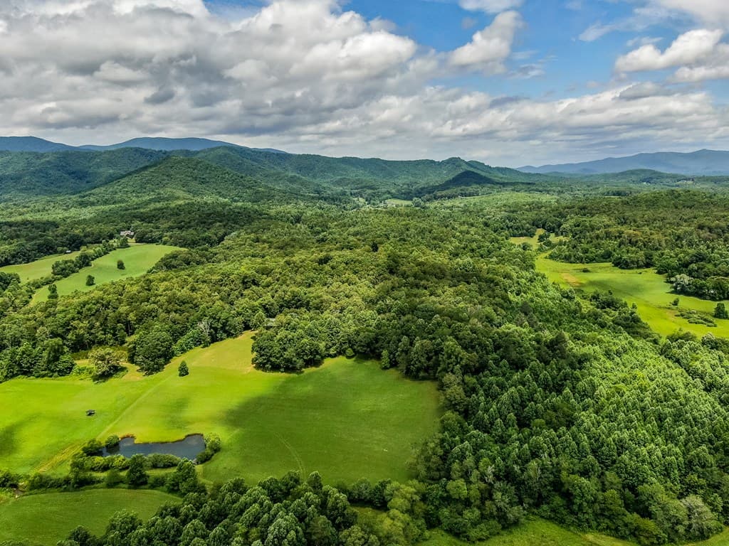 136A Pack Creek, Blue Ridge GA 30513 - Photo