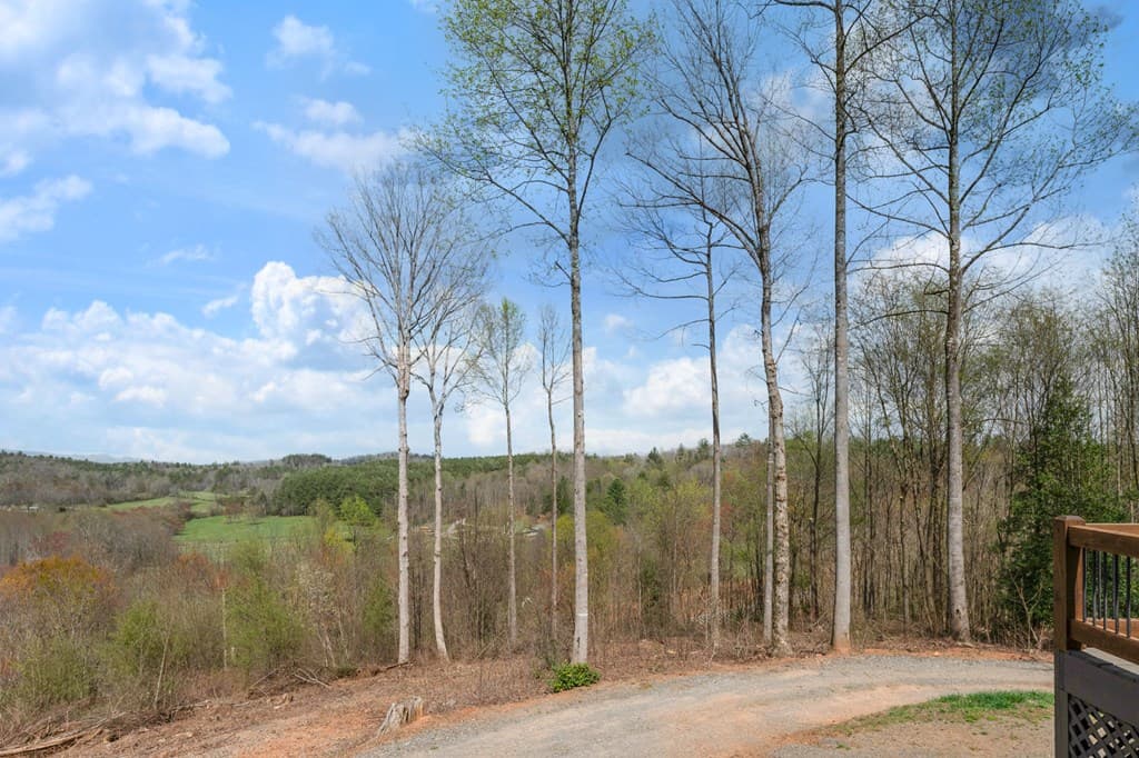 136A Pack Creek, Blue Ridge GA 30513 - Photo