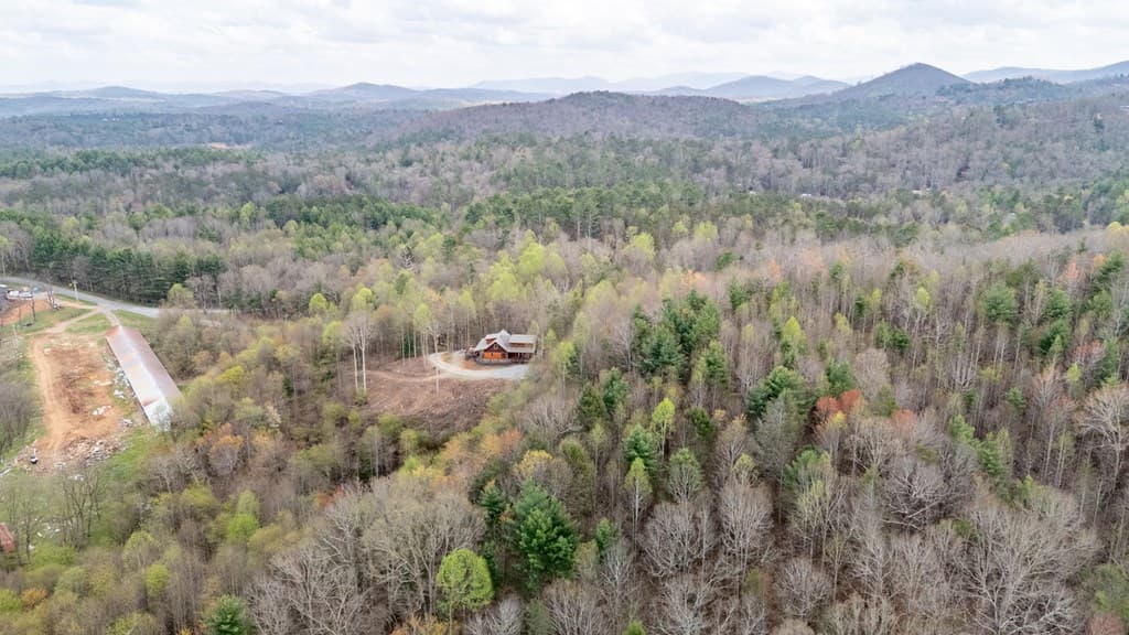 136A Pack Creek, Blue Ridge GA 30513 - Photo