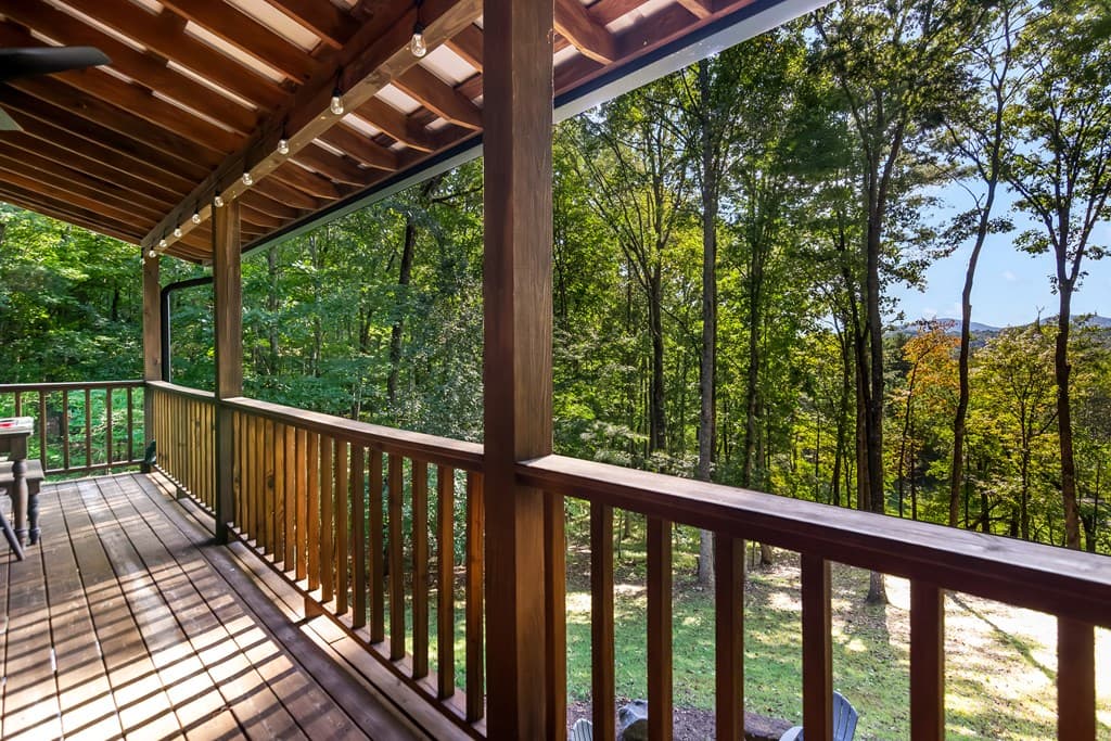 232 Cook Lane, Blairsville GA 30512 - Photo
