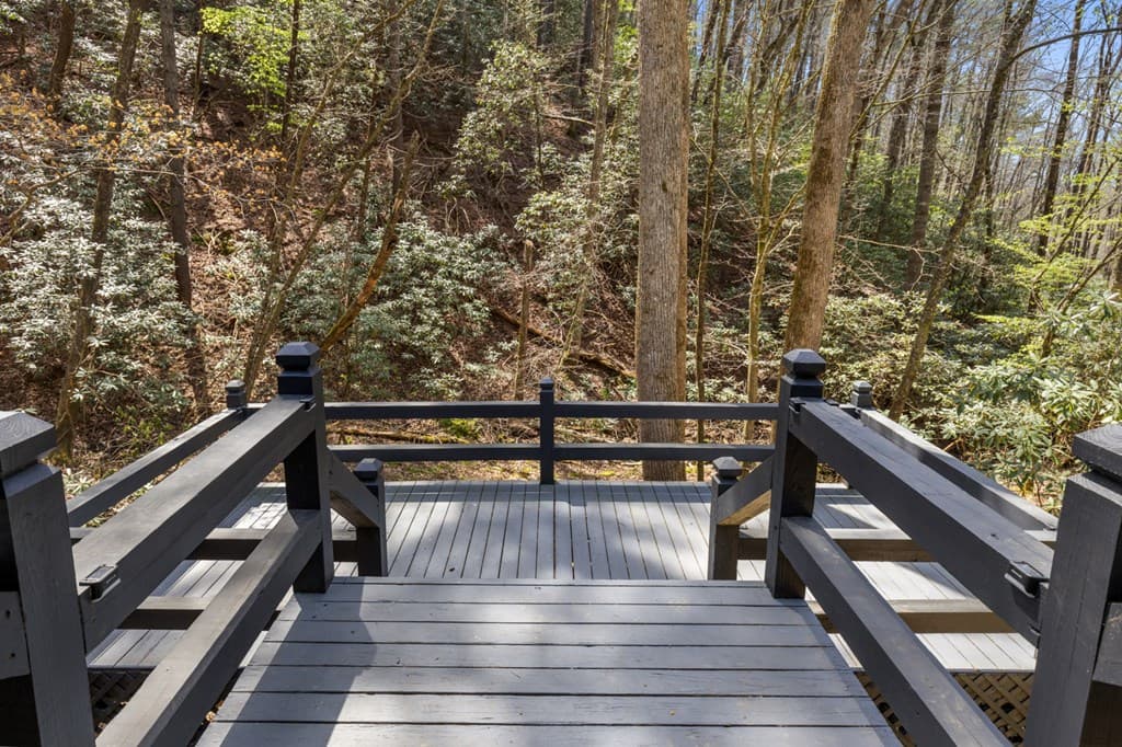 487 Walkabout Creek Road, Morganton GA 30560 - Photo