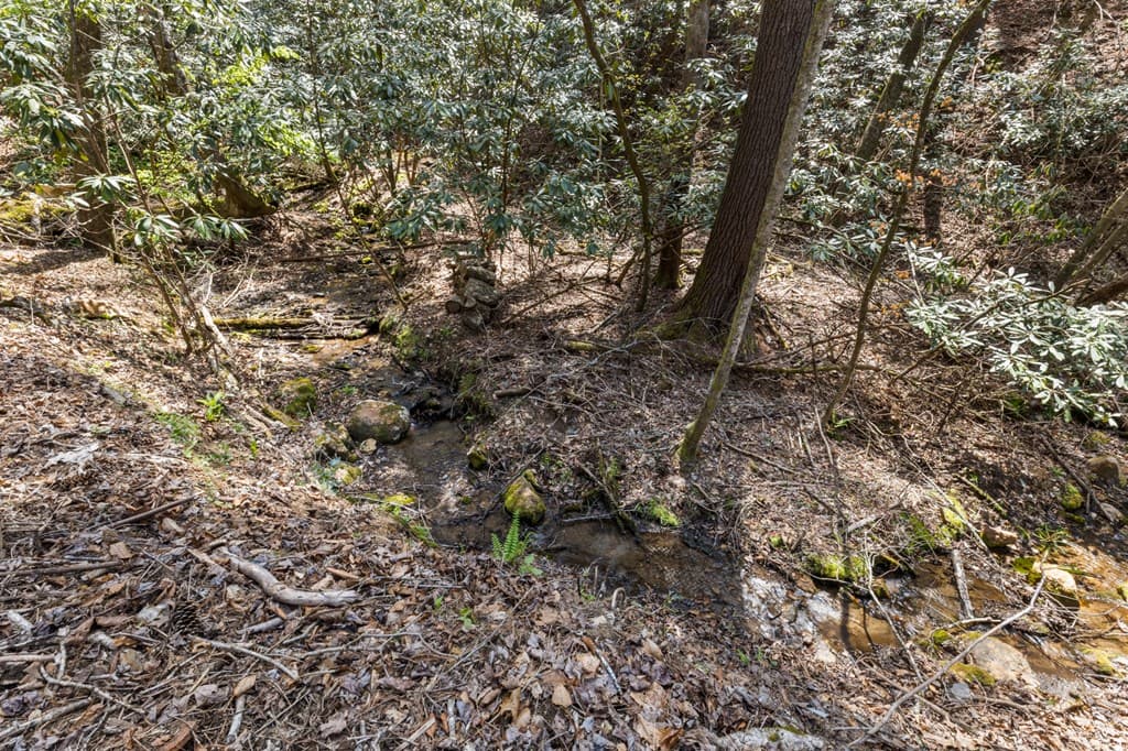 487 Walkabout Creek Road, Morganton GA 30560 - Photo
