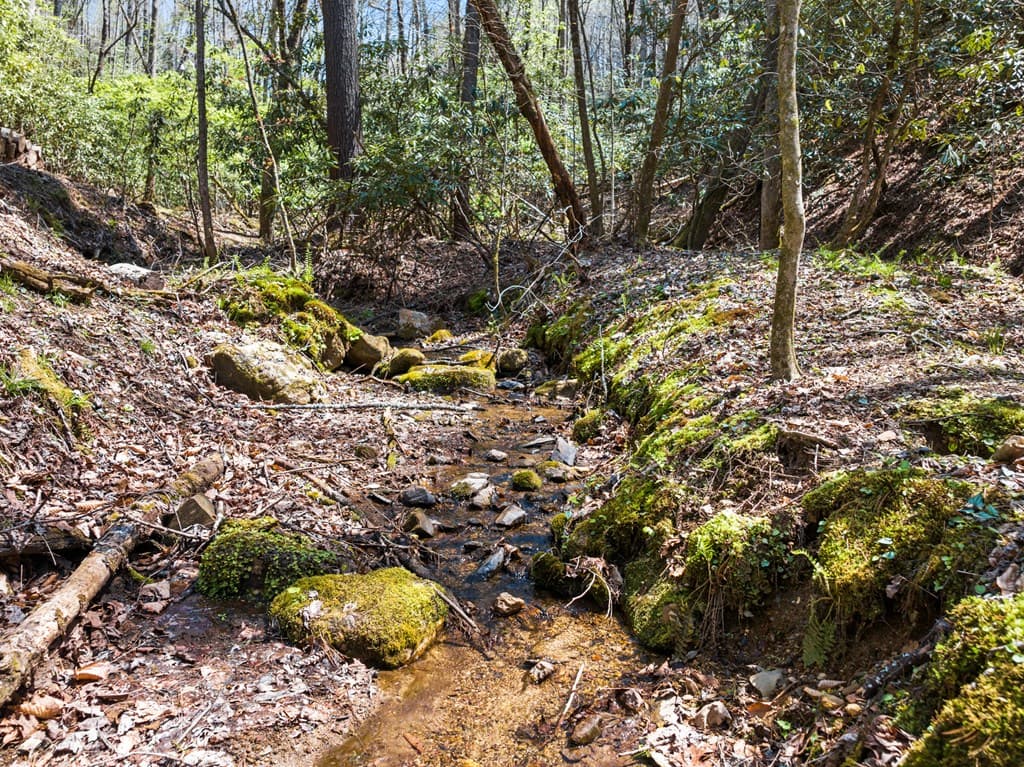 487 Walkabout Creek Road, Morganton GA 30560 - Photo
