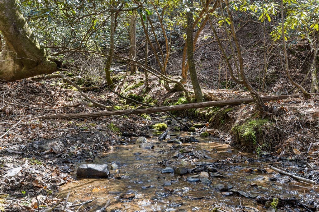 487 Walkabout Creek Road, Morganton GA 30560 - Photo