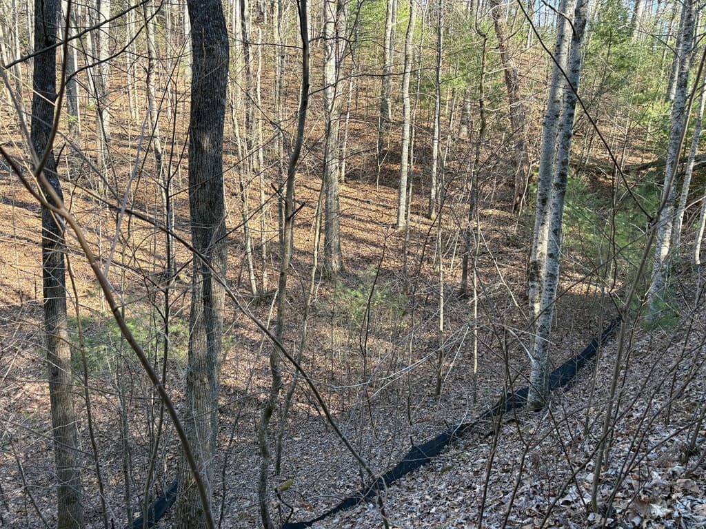 Lot 61 Laurel Trail, Suches GA 30572 - Photo
