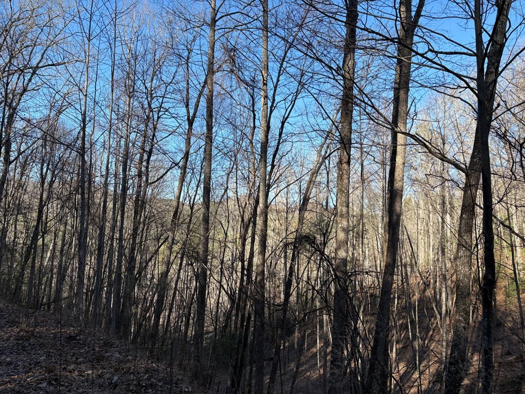 Lot 61 Laurel Trail, Suches GA 30572 - Photo
