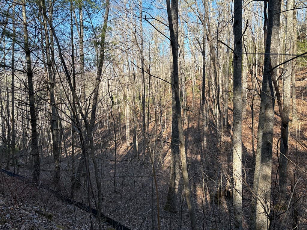 Lot 61 Laurel Trail, Suches GA 30572 - Photo