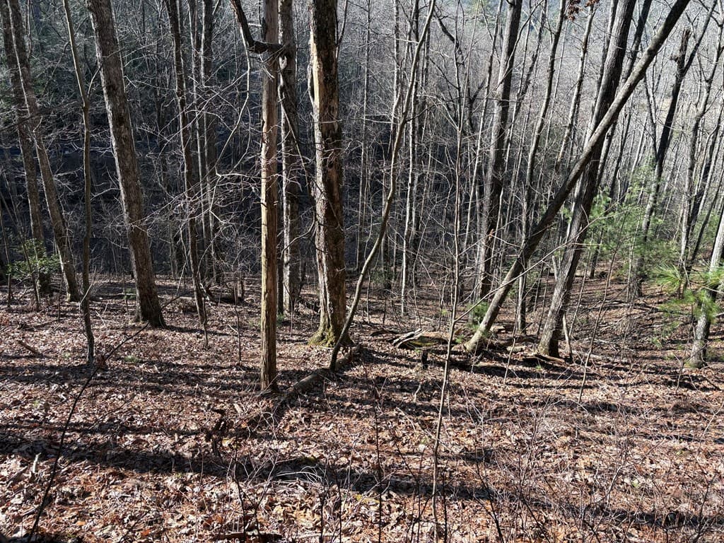 Lot 61 Laurel Trail, Suches GA 30572 - Photo