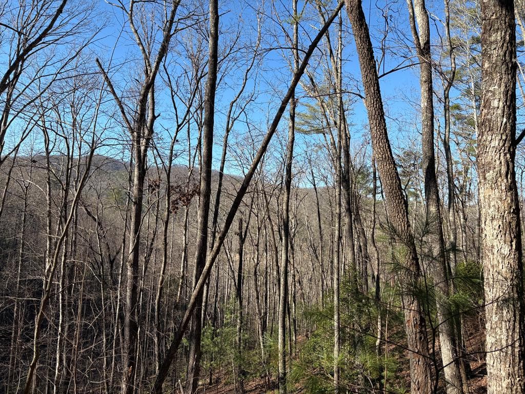 Lot 61 Laurel Trail, Suches GA 30572 - Primary photo