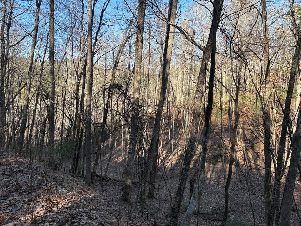 Lot 61 Laurel Trail, Suches GA 30572 - Photo
