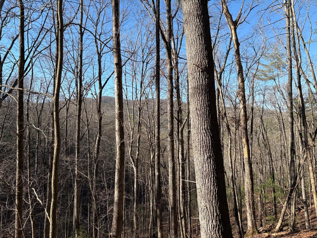 Lot 61 Laurel Trail, Suches GA 30572 - Photo