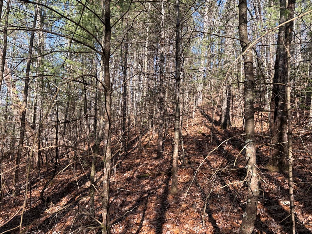 Lot 62 Gobblers Knob/Laurel, Suches GA 30572 - Photo