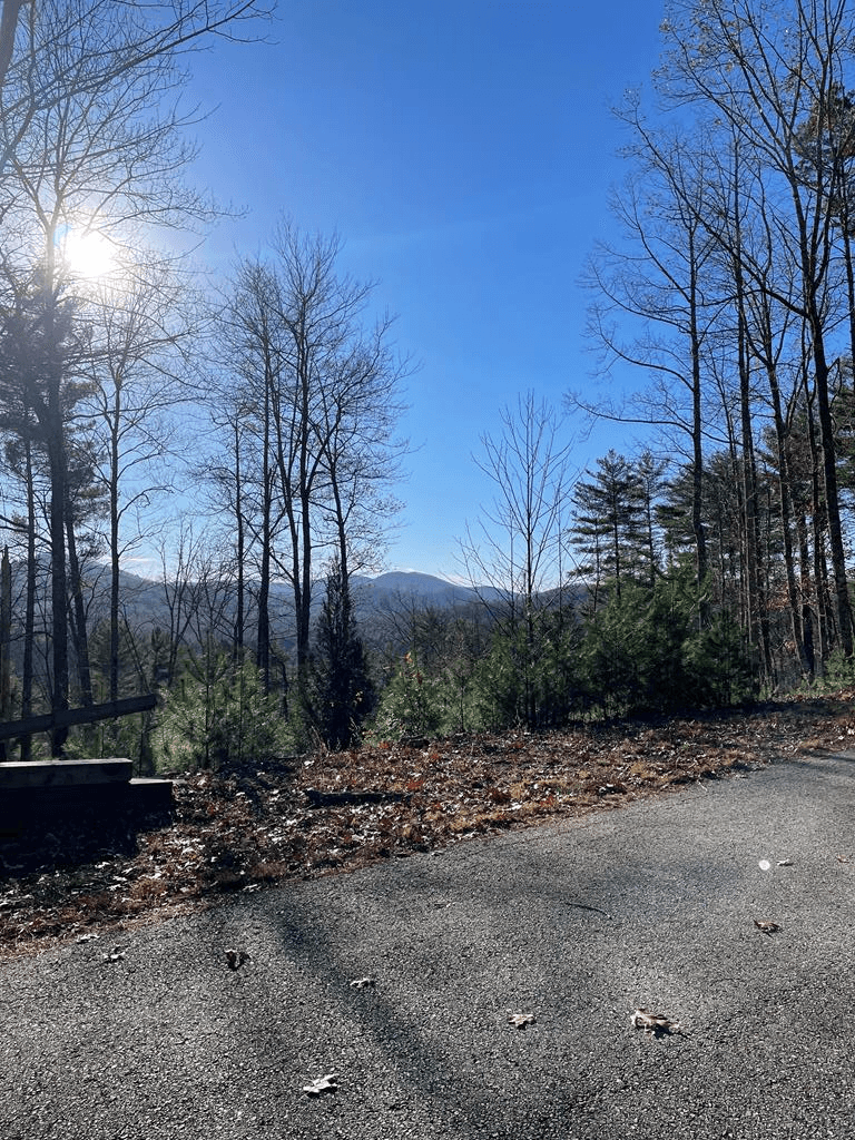 Lot 62 Gobblers Knob/Laurel, Suches GA 30572 - Photo