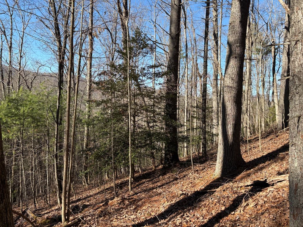Lot 62 Gobblers Knob/Laurel, Suches GA 30572 - Photo