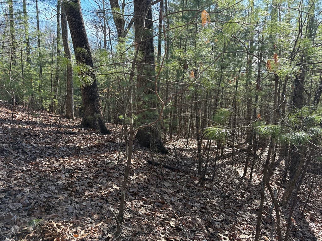 Lot 62 Gobblers Knob/Laurel, Suches GA 30572 - Photo