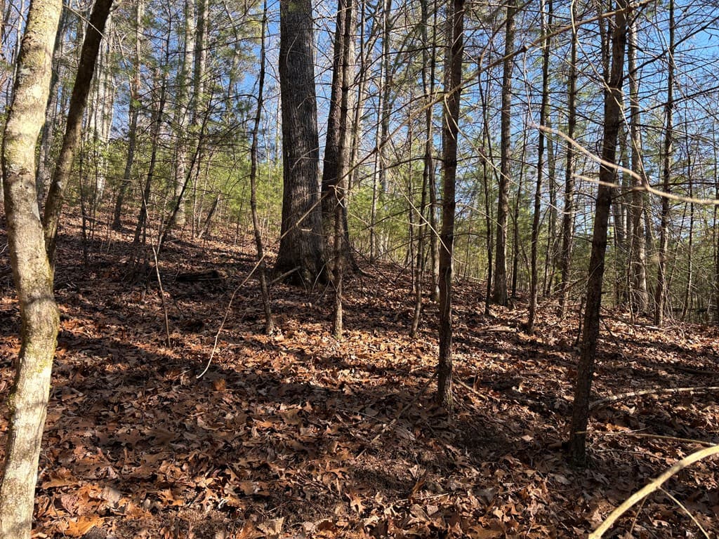 Lot 62 Gobblers Knob/Laurel, Suches GA 30572 - Photo