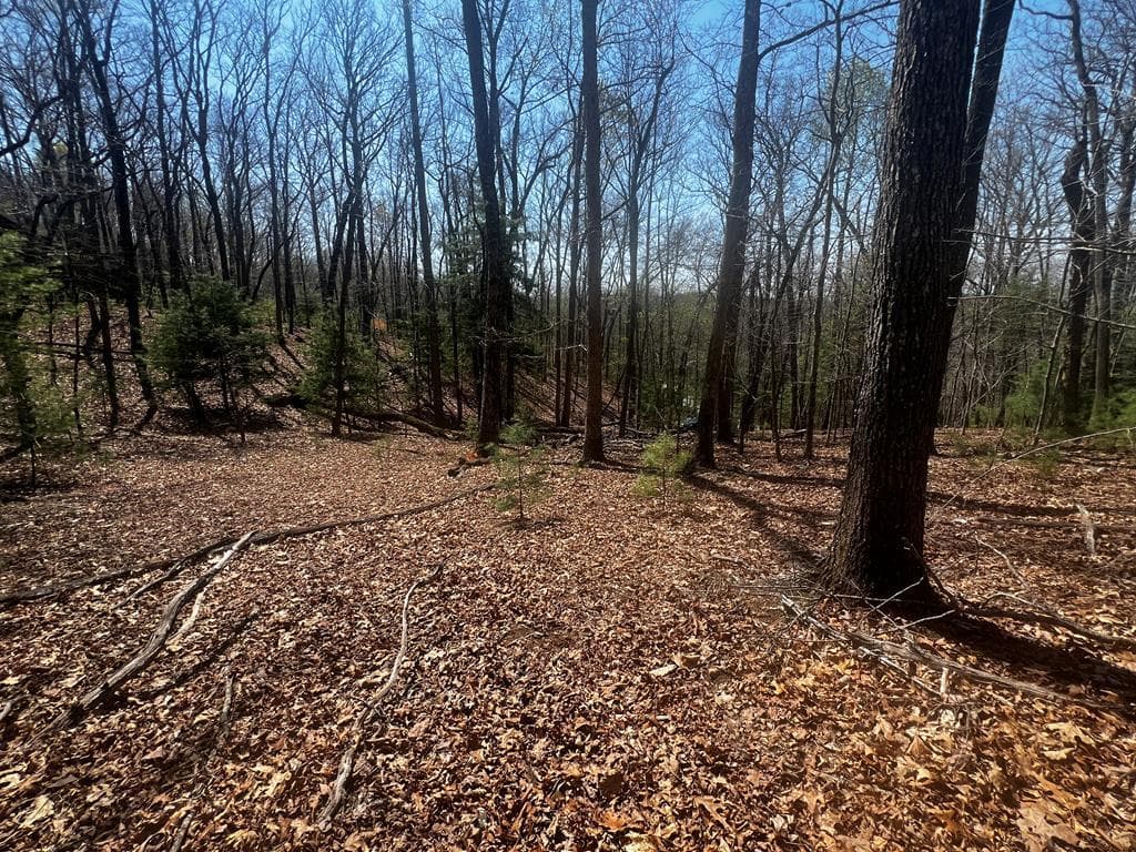 LOT 5 High Country Lane, Morganton GA 30560 - Photo