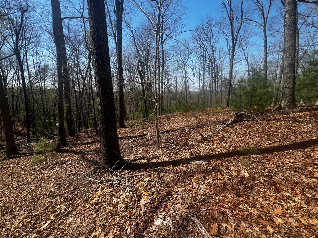 LOT 5 High Country Lane, Morganton GA 30560 - Photo