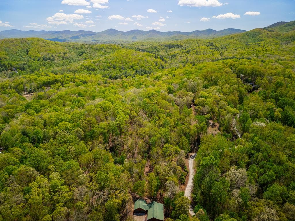 LOT 5 High Country Lane, Morganton GA 30560 - Photo