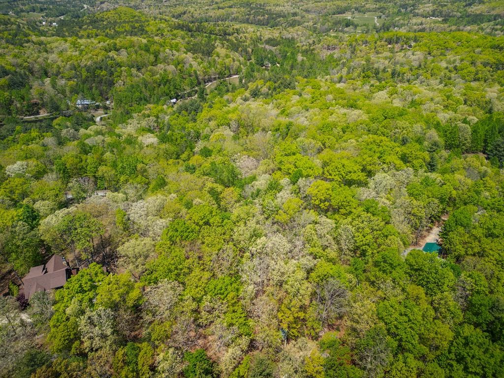 LOT 5 High Country Lane, Morganton GA 30560 - Photo